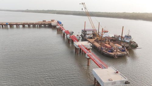 一季度利潤逼近2024年全年,河南國際集團發(fā)展解碼