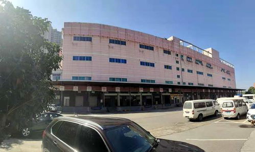 國內最大醫藥食品物流中心長沙國際物流交博會上受青睞