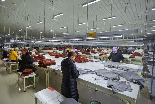 立足產業優勢，穩步推進紡織技術開發——寧夏靈武市高質量建設現代紡織先行區